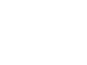 TerrorFilmFestival2014_Ho